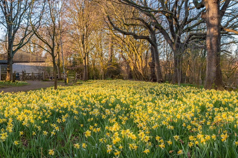 Bates Green Garden